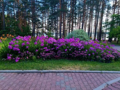 ����� ���� ���������� � �������������