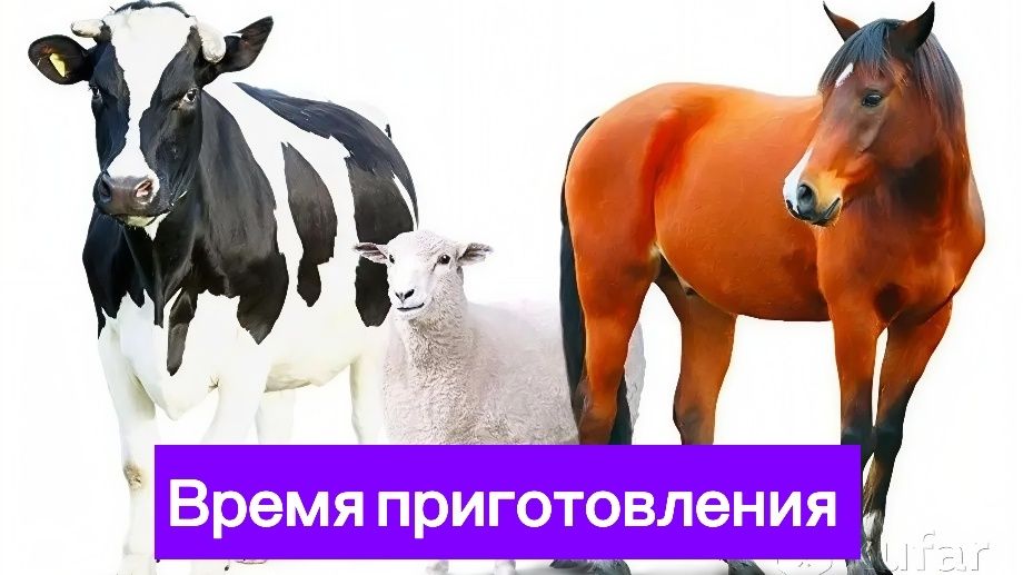 Как правильно варить и жарить мясо: идеальные тайминги для вкусных блюд