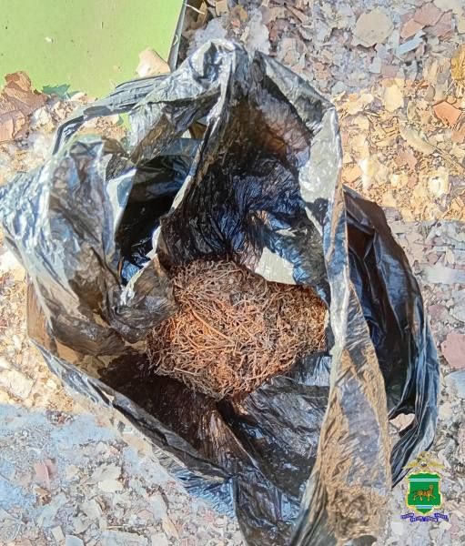 ����������� � ����������� ������ ���������� � ��������� ������ � ������� ������-�����