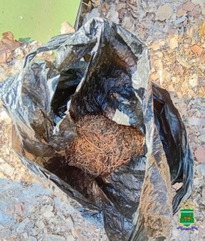 ����������� � ����������� ������ ���������� � ��������� ������ � ������� ������-�����