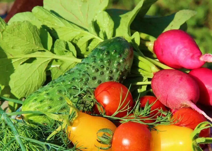 Как растительности истощают почву: неожиданные кандидаты на исключение из огорода