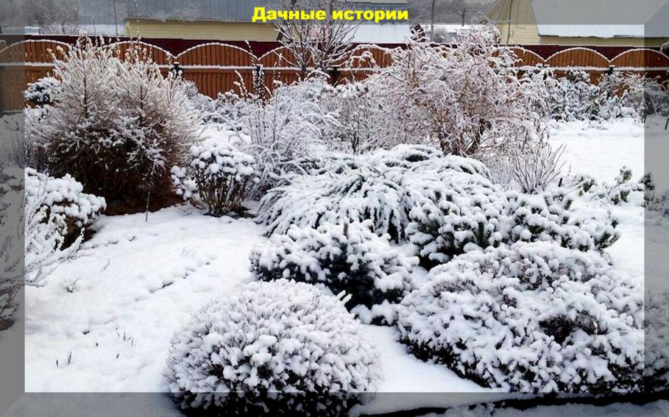 Подготовка дачи к зимнему сезону: советы для начинающих