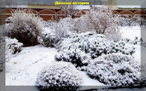 Подготовка дачи к зимнему сезону: советы для начинающих