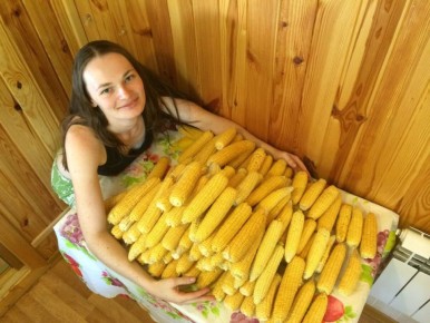 Как сократить грядки и увеличить урожай: новая стратегия садоводства