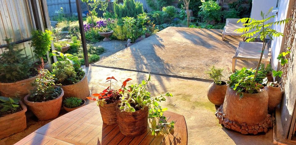 �������� ���������� ���� �� �������� ������: ������� ������������� �����������