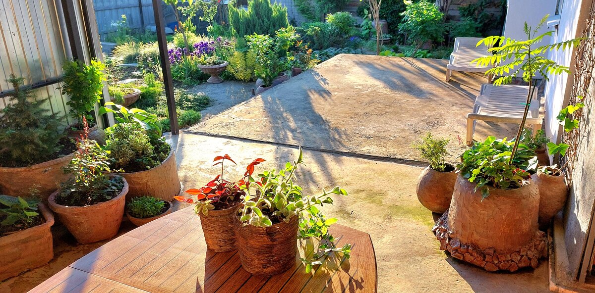 Создание идеального сада на бетонной плитке: секреты контейнерного садоводства