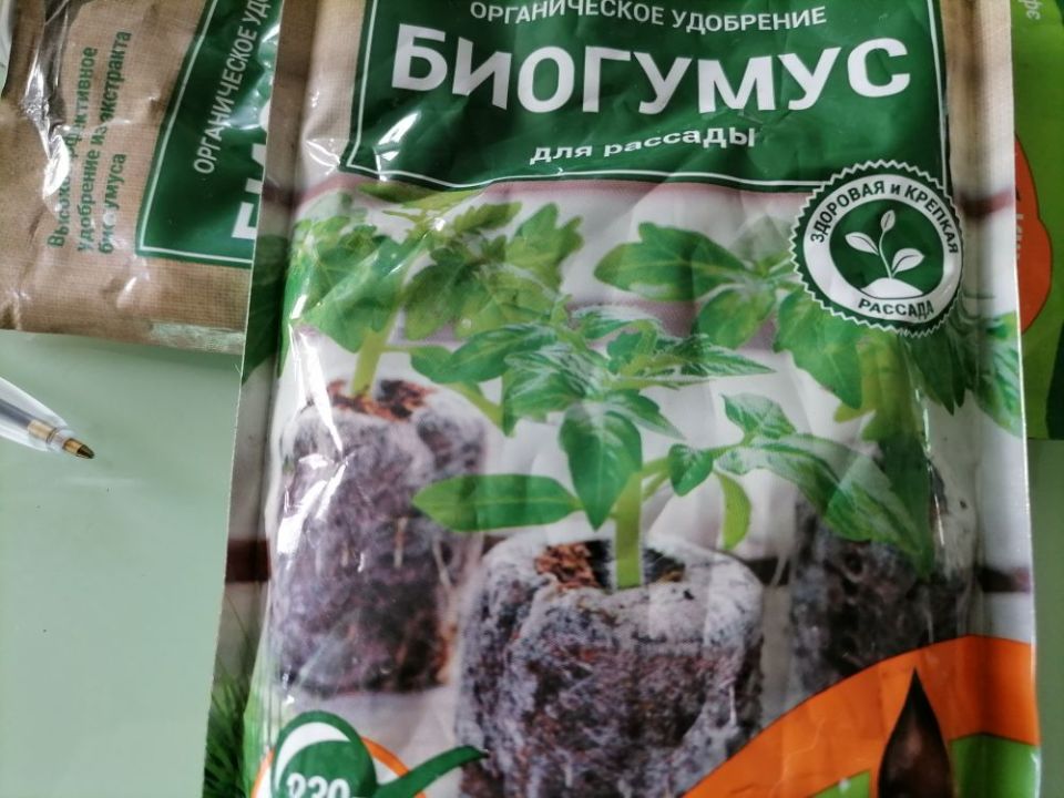 ��� � ������ ������� � ��������� ����� ������: ��� ������� ����� � 5 ������