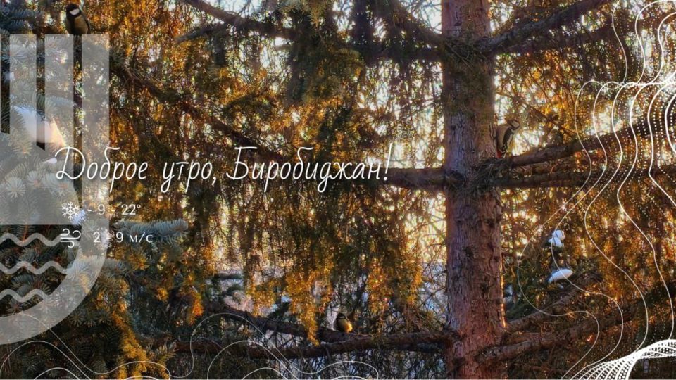 �����, ����������!. ������� � ������ ���� ������, � � ��� ���� ������ ������� ��� �������