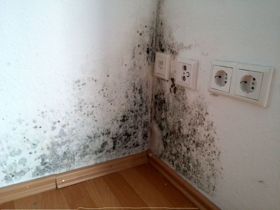 ������� � ����: ��� �� ������� � ������������� ���� ��� ��������