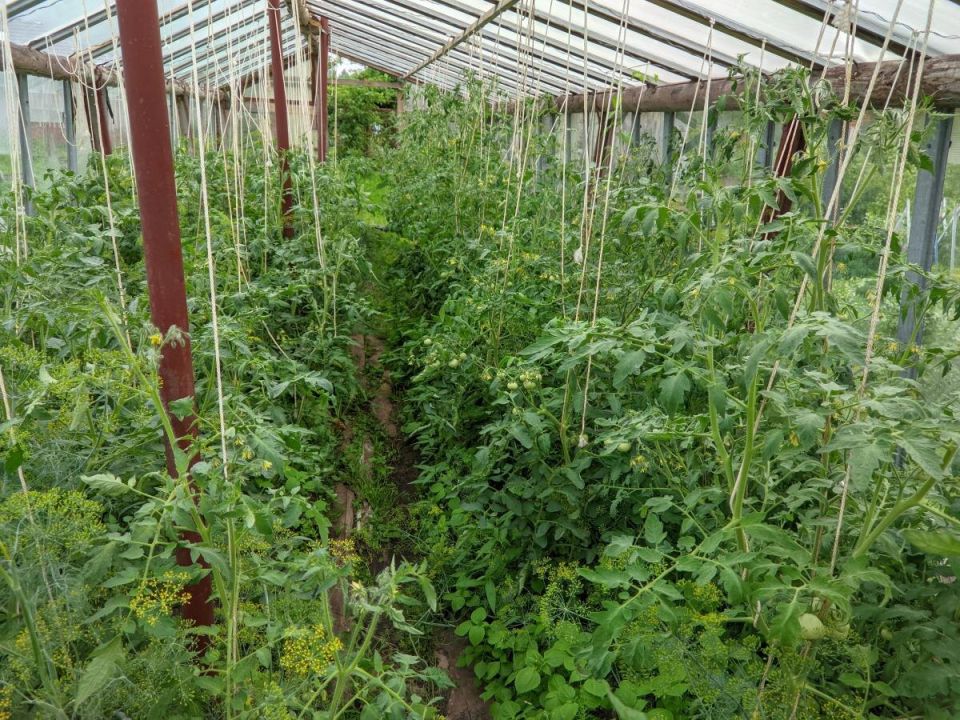 �������������� ������� ������� ������: ��� ������� �����, ����� �������� �������