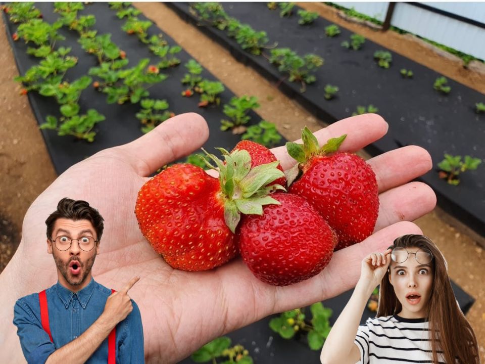 ��� �������� ������� � ������� �������� � ������� ������� �������