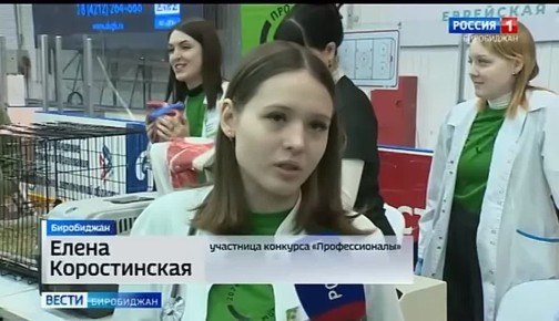 В Биробиджане стартовал региональный этап состязаний «Профессионалы»