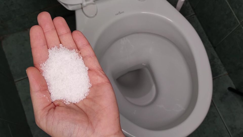 ���� � �������: ����������� ������������ � ������ �� ������