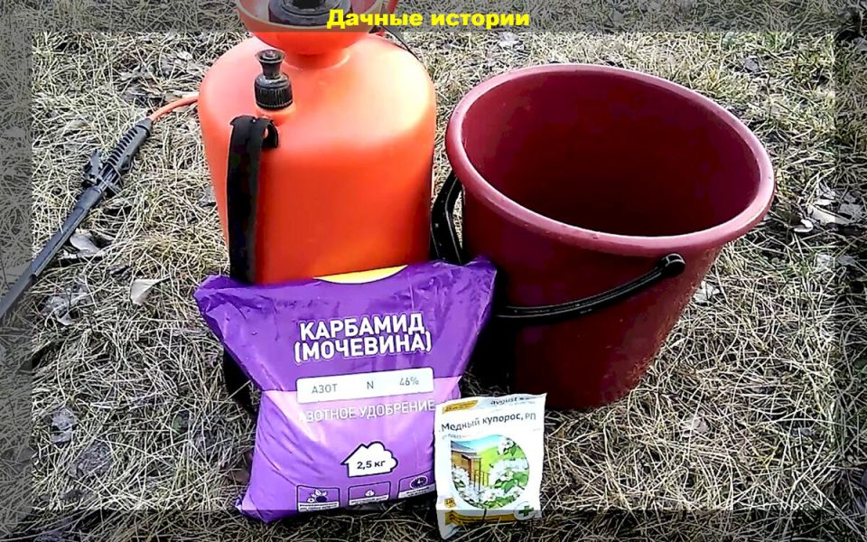 ������� ��������� ����: �������� � ������ ������� � ��� �������?