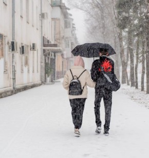 � ����������� ��������� ��������� �������� �������