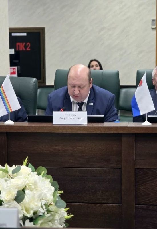 А. Голубь представил инициативы парламента ЕАО в ПА «Дальний Восток и Забайкалье»