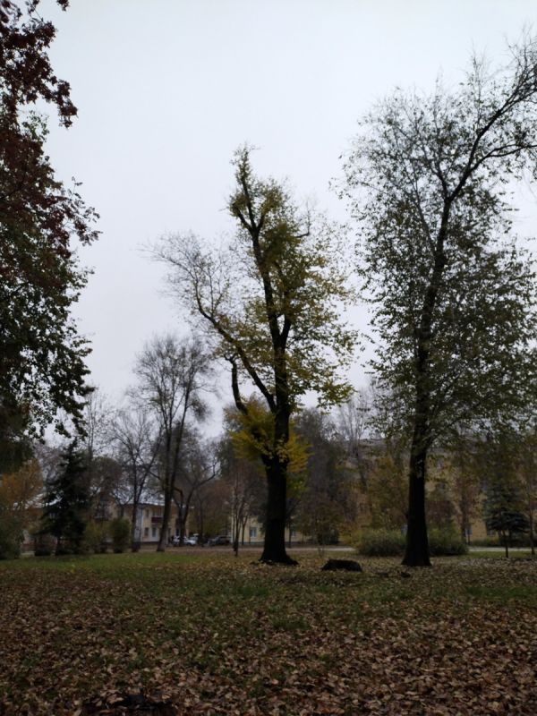 Непредсказуемый день с хорошими сюрпризами