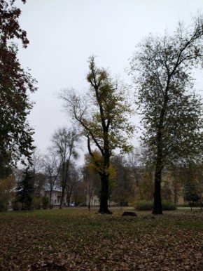 ��������������� ���� � �������� ����������