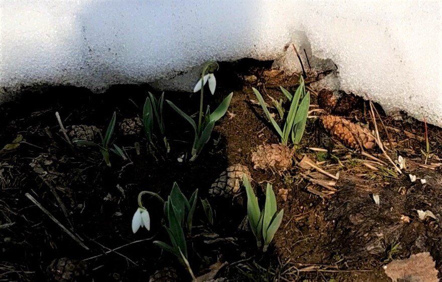 ������: ����� �������� � ������� �����