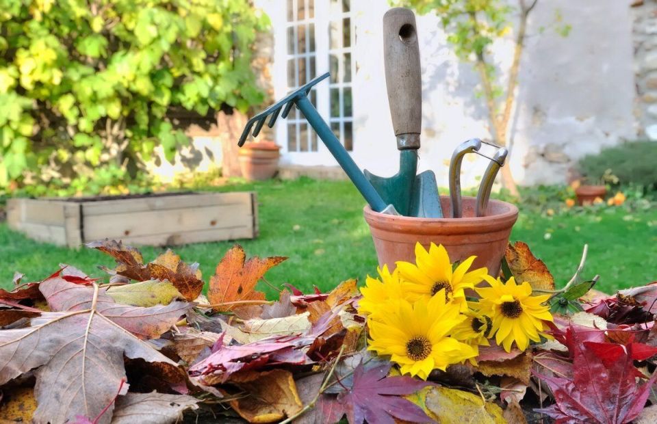 ������� ������� ��� ��������� �������: ��� ������ � ��� ���������� � ����