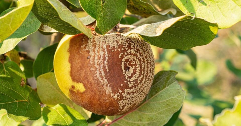 ������ ������ �� ������ ����� � ��� � ���� ������