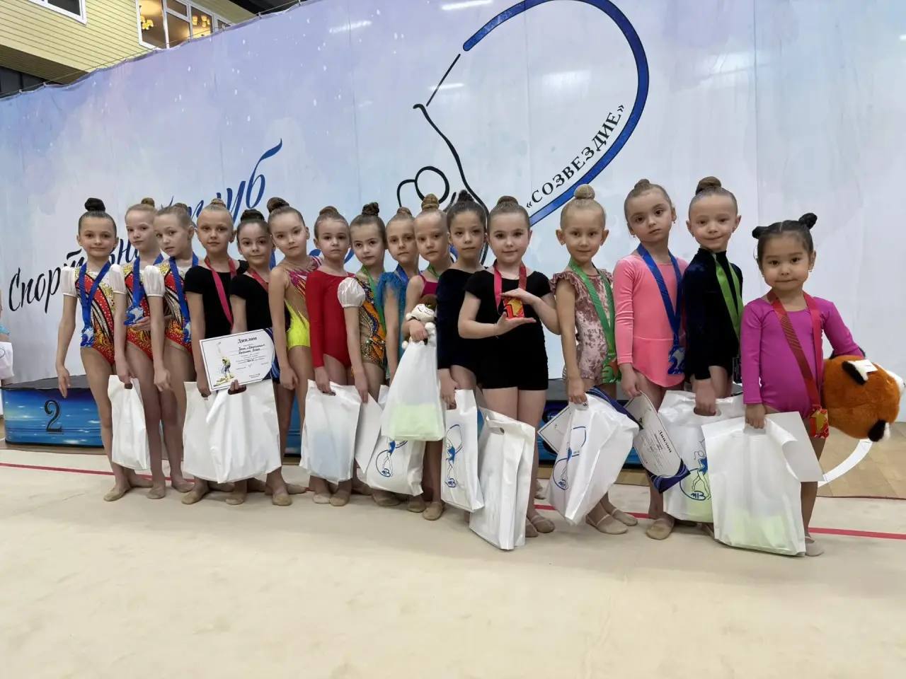 20 медалей привезли гимнастки ЕАО с межрегиональных соревнований 20 медалей привезли гимнастки ЕАО с межрегиональных соревнований