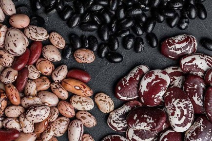 ������: ������� �������� ������� � ����������� �����������