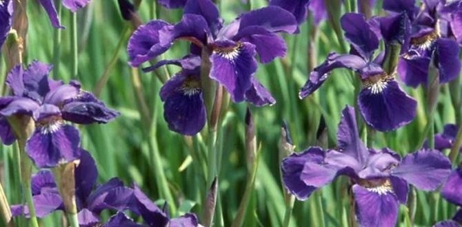 �����, ������� �� ��������: ��������� �������� ��� ���������� ���������