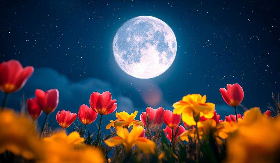 Цветочная Луна: кто найдет свой шанс, а кто столкнется с вызовами