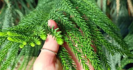 ��������� � ����� ����: ��� ��������� �� ������������ ���������� �����