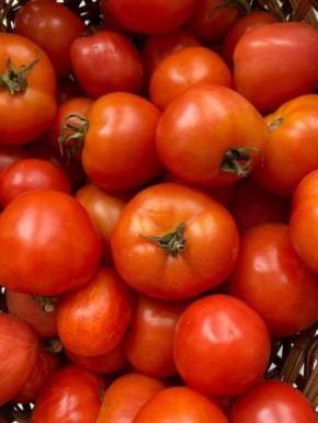 ������� �������: ������� �� ����� ���� ����� ��������� ��������� � 2026 ����