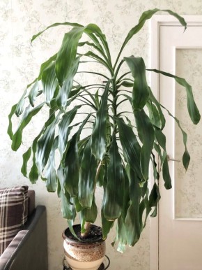 ������� ��������: ���������� ������� ��������� ��� ������ ����