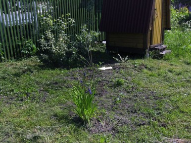 ���� ���������: ������� ������ �������� ���