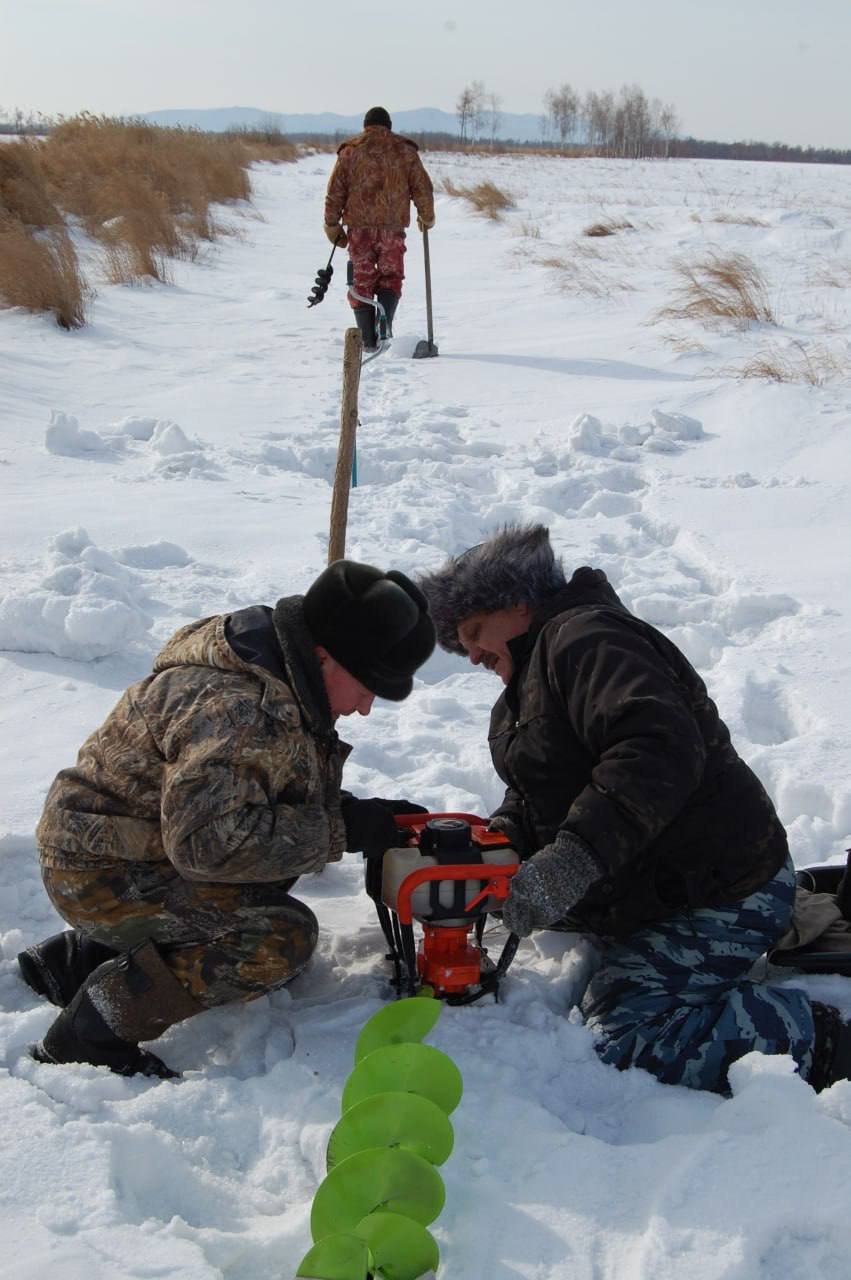 Кормовую базу для дальневосточных аистов перед их возвращением с зимовки подготовили в ЕАО Кормовую базу для дальневосточных аистов перед их возвращением с зимовки подготовили в ЕАО