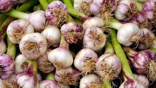 ��� ��������� ������ ������: ���� �������� ��������� ������ �� 30%