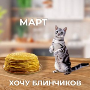 «Я вообще не привередливый. Просто у меня сезонное настроение»