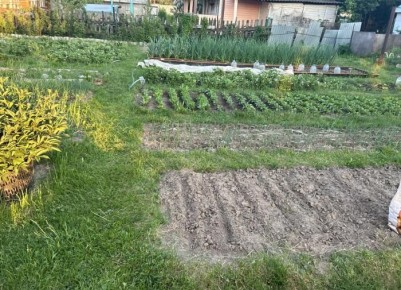 ��� �������� ����� ����� �������� ����� ���������