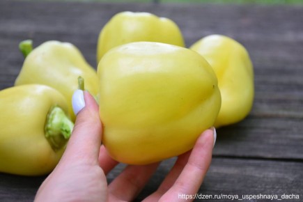 ��� ��������� ��������� �����: ������� � ������������