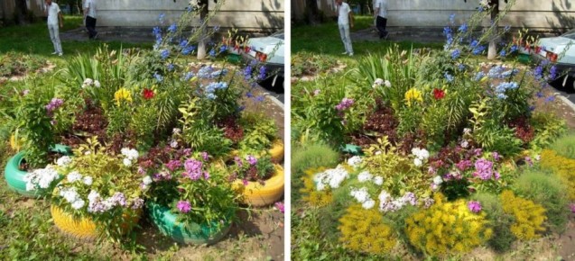 Как преобразить цветник: советы и идеи для идеального сада