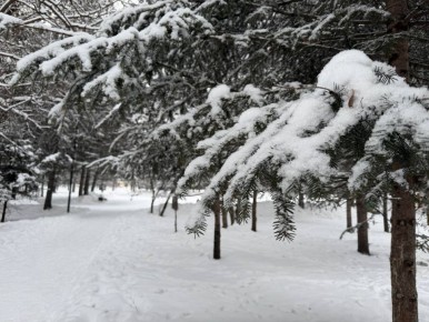 Мы подготовили для вас астропрогноз на завтрашний день:
