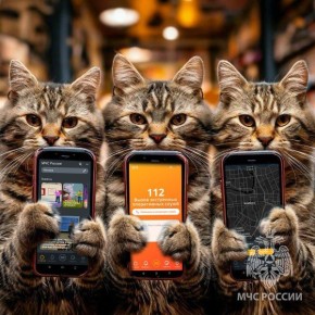Послушай котиков – установи приложение МЧС России!