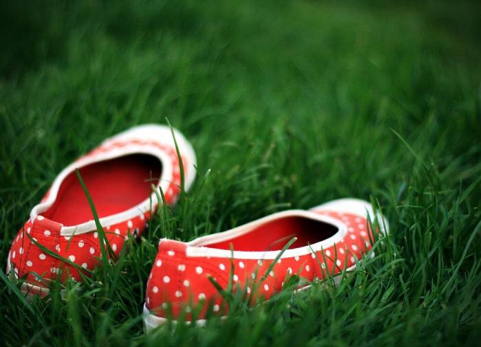 Как сократить частоту стрижки газона и сэкономить время