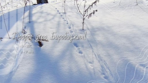 Шалом, Биробиджан!. Сегодня мы отмечаем праздник, который напоминает нам о том, как прекрасна, удивительна и при этом хрупка природа вокруг нас — Всемирный день дикой природы