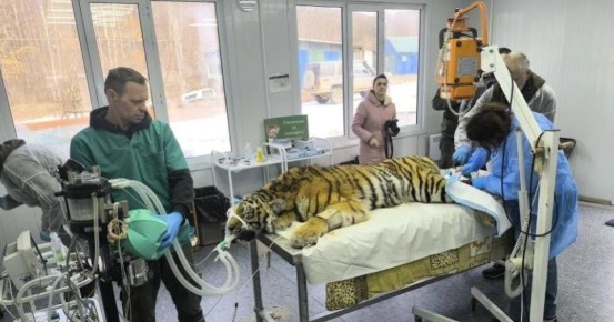 ����������� ������� ������� �� ��� ��������� � ����� ������������ � ��������