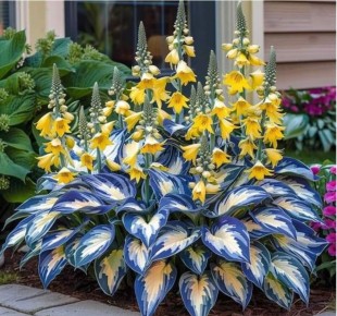 ����������� ������� ����: �� �������� ���� �� ���������� ��������