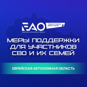 В ЕАО продолжают поддерживать участников СВО и их семьи