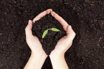 ��� �������� ���������� �����: ������������ ������ ��� �����������