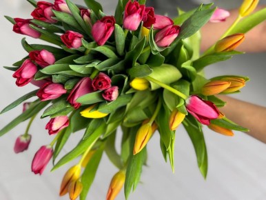 8 �����: ������� ������ � ������ ����������