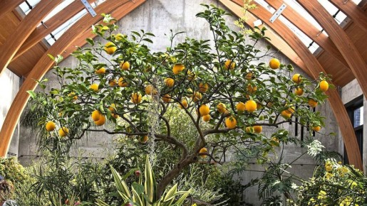 ��� ������ ������ ��������� ������ �� ����: ������ � ������������