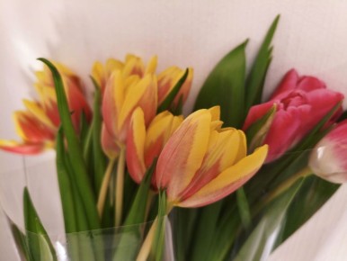 ��������� ���������� ������ �����������! ������� ���� �������!